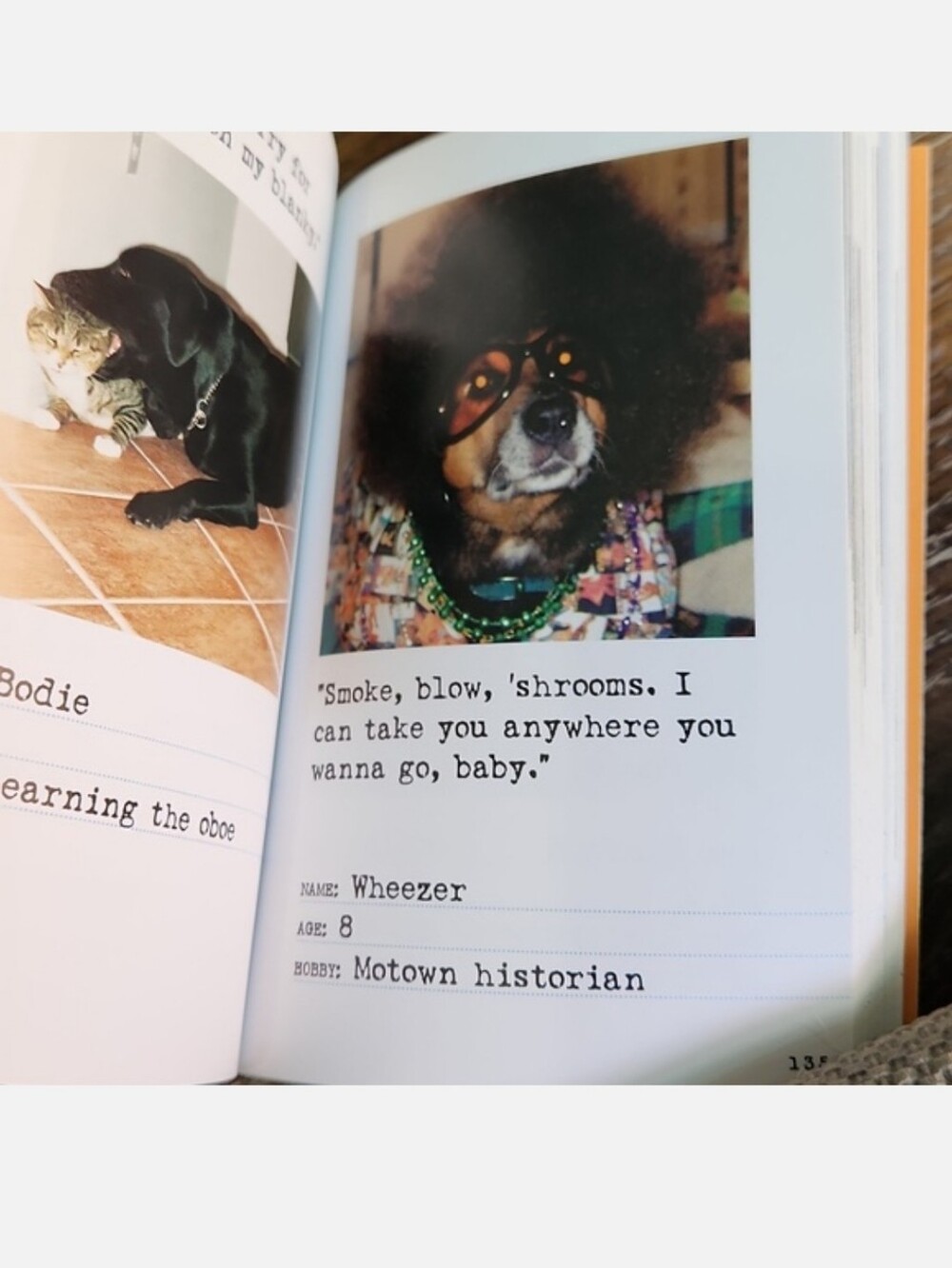 Bad Dog Book - Picture 6 of 9